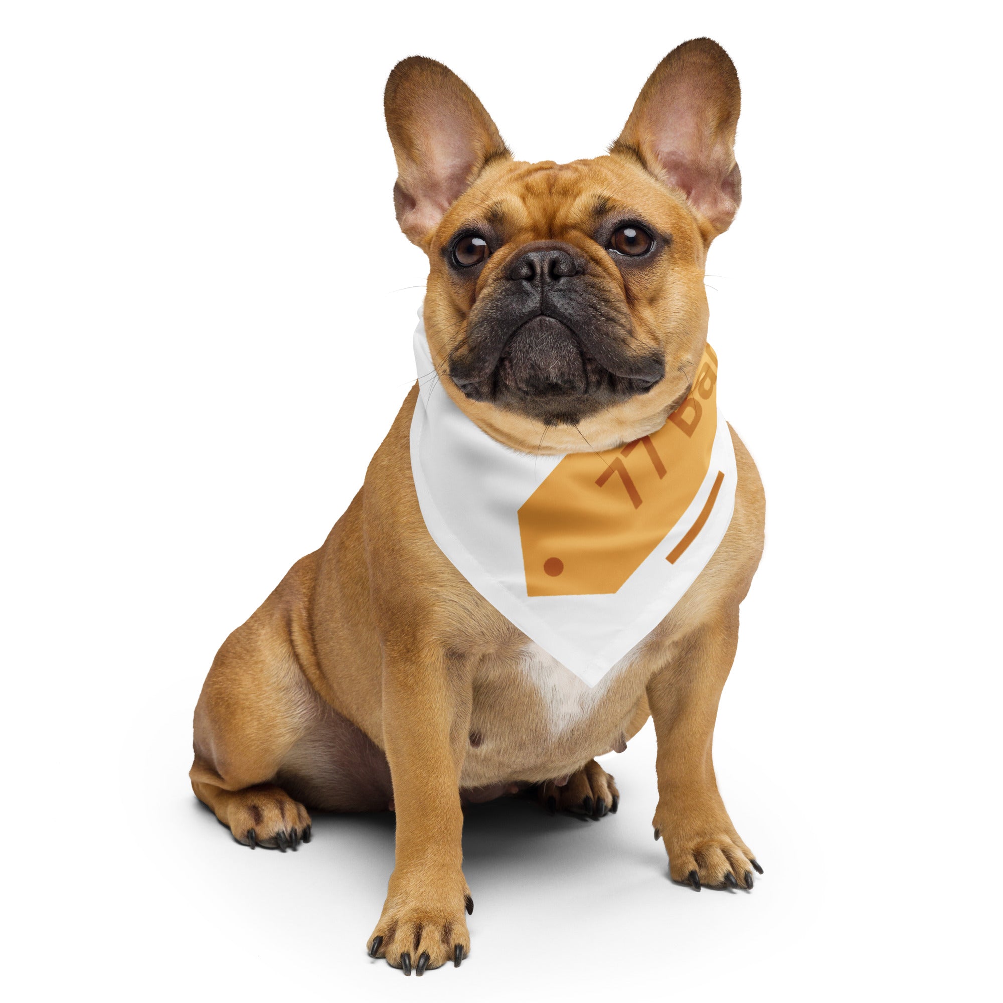 French bulldog outlet with bandana